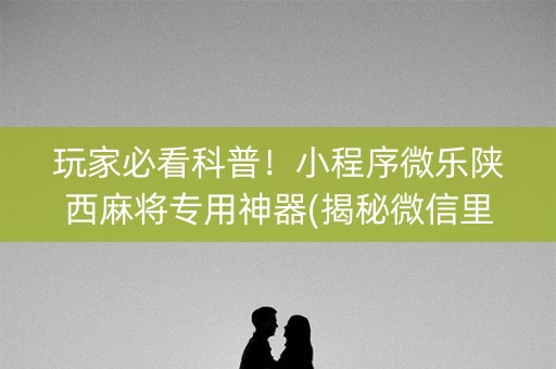 玩家必看科普！小程序微乐陕西麻将专用神器(揭秘微信里输赢技巧)