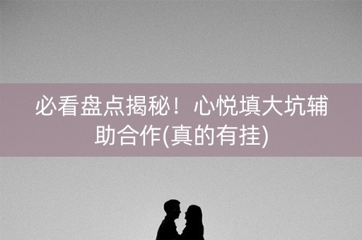 必看盘点揭秘！心悦填大坑辅助合作(真的有挂)
