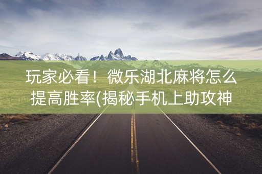 玩家必看！微乐湖北麻将怎么提高胜率(揭秘手机上助攻神器)