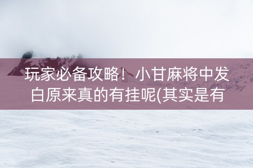 玩家必备攻略！小甘麻将中发白原来真的有挂呢(其实是有挂确实有挂)