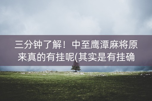 三分钟了解！中至鹰潭麻将原来真的有挂呢(其实是有挂确实有挂)