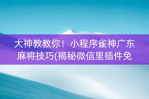 大神教教你！小程序雀神广东麻将技巧(揭秘微信里插件免费)