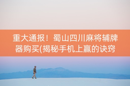重大通报！蜀山四川麻将辅牌器购买(揭秘手机上赢的诀窍)