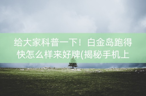 给大家科普一下！白金岛跑得快怎么样来好牌(揭秘手机上插件购买)