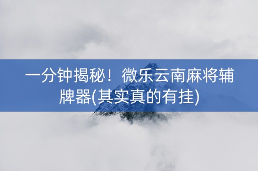一分钟揭秘！微乐云南麻将辅牌器(其实真的有挂)