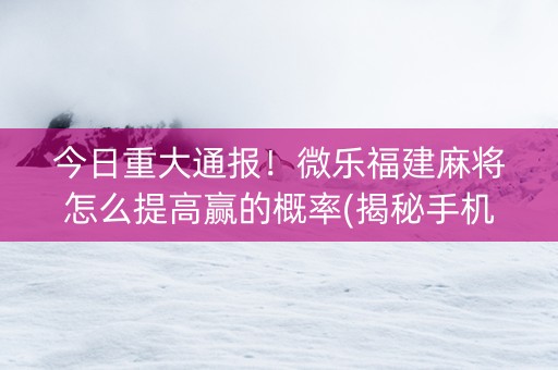 今日重大通报！微乐福建麻将怎么提高赢的概率(揭秘手机上胜率到哪调)