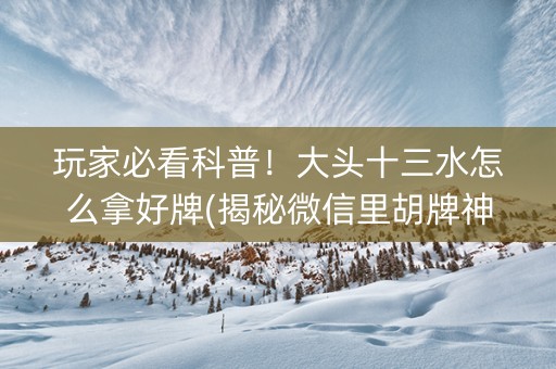 玩家必看科普！大头十三水怎么拿好牌(揭秘微信里胡牌神器)