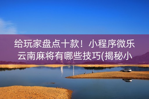 给玩家盘点十款！小程序微乐云南麻将有哪些技巧(揭秘小程序插件免费)