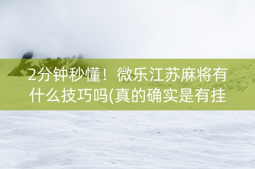2分钟秒懂！微乐江苏麻将有什么技巧吗(真的确实是有挂)