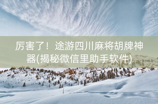 厉害了！途游四川麻将胡牌神器(揭秘微信里助手软件)