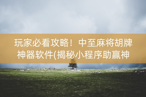 玩家必看攻略！中至麻将胡牌神器软件(揭秘小程序助赢神器)