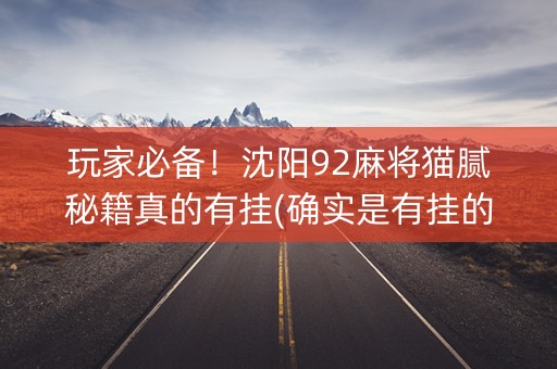 玩家必备！沈阳92麻将猫腻秘籍真的有挂(确实是有挂的)