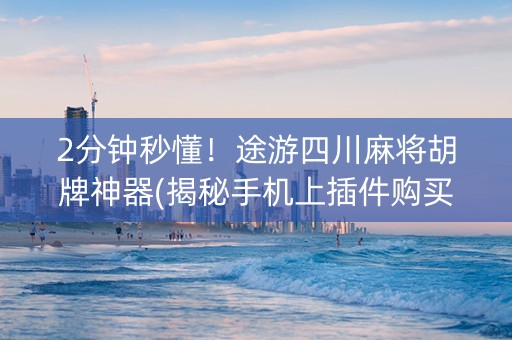 2分钟秒懂！途游四川麻将胡牌神器(揭秘手机上插件购买)