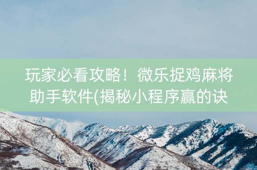 玩家必看攻略！微乐捉鸡麻将助手软件(揭秘小程序赢的诀窍)