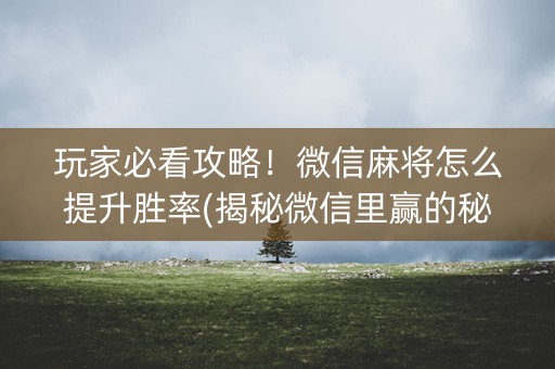 玩家必看攻略！微信麻将怎么提升胜率(揭秘微信里赢的秘诀)