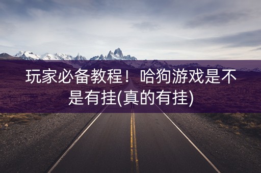 玩家必备教程！哈狗游戏是不是有挂(真的有挂)
