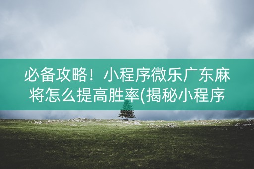 必备攻略！小程序微乐广东麻将怎么提高胜率(揭秘小程序胡牌神器)