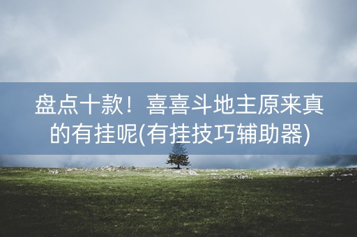 盘点十款！喜喜斗地主原来真的有挂呢(有挂技巧辅助器)