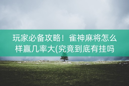 玩家必备攻略！雀神麻将怎么样赢几率大(究竟到底有挂吗)