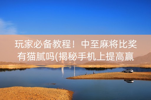 玩家必备教程！中至麻将比奖有猫腻吗(揭秘手机上提高赢的概率)