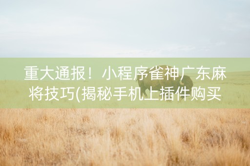 重大通报！小程序雀神广东麻将技巧(揭秘手机上插件购买)