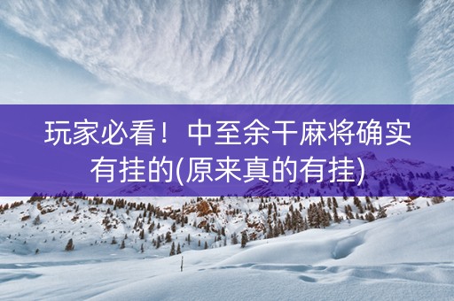 玩家必看！中至余干麻将确实有挂的(原来真的有挂)