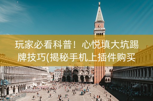 玩家必看科普！心悦填大坑踢牌技巧(揭秘手机上插件购买)