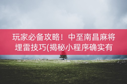 玩家必备攻略！中至南昌麻将埋雷技巧(揭秘小程序确实有猫腻)