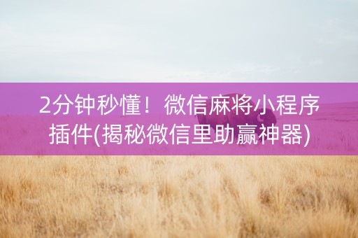 2分钟秒懂！微信麻将小程序插件(揭秘微信里助赢神器)