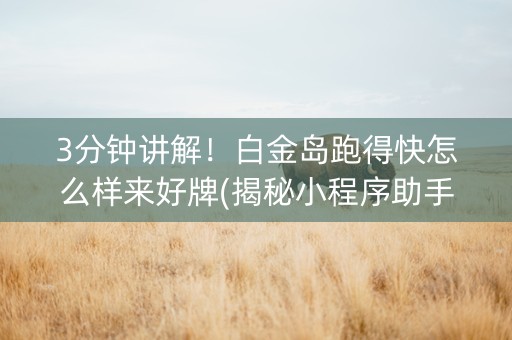 3分钟讲解！白金岛跑得快怎么样来好牌(揭秘小程序助手软件)
