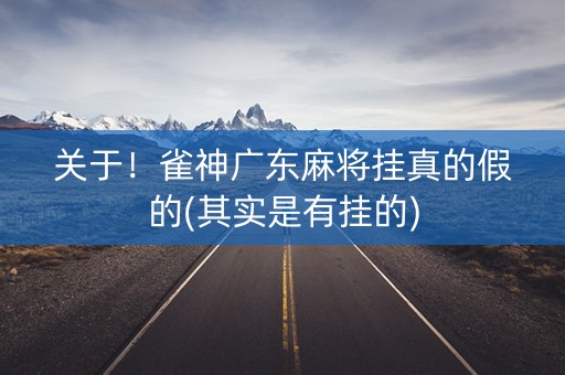 关于！雀神广东麻将挂真的假的(其实是有挂的)