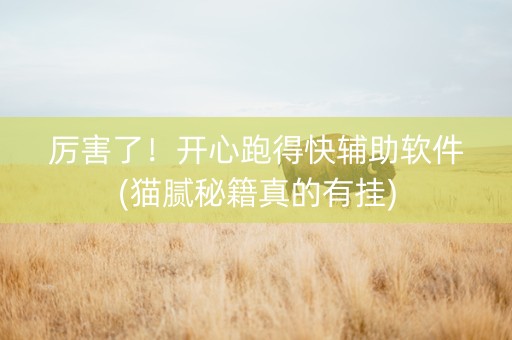 厉害了！开心跑得快辅助软件(猫腻秘籍真的有挂)