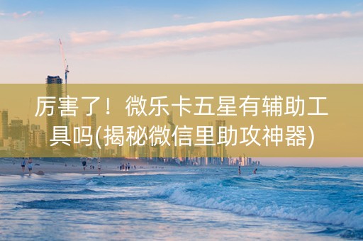 厉害了！微乐卡五星有辅助工具吗(揭秘微信里助攻神器)