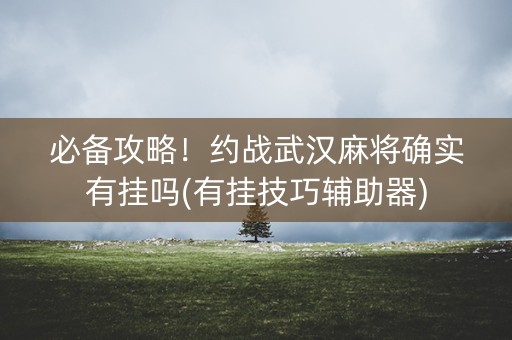 必备攻略！约战武汉麻将确实有挂吗(有挂技巧辅助器)