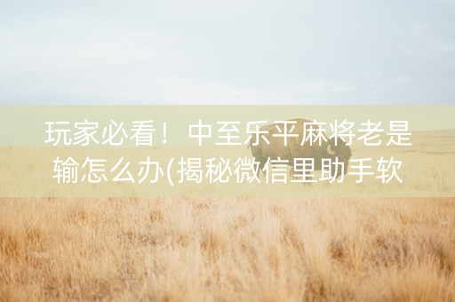 玩家必看！中至乐平麻将老是输怎么办(揭秘微信里助手软件)