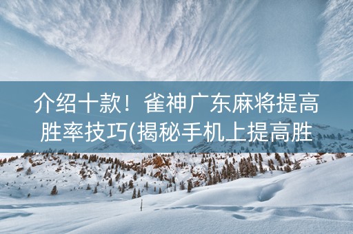 介绍十款！雀神广东麻将提高胜率技巧(揭秘手机上提高胜率)