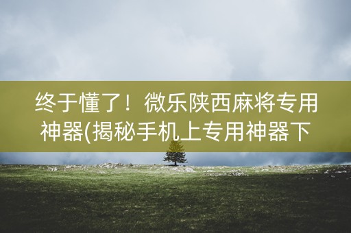 终于懂了！微乐陕西麻将专用神器(揭秘手机上专用神器下载)