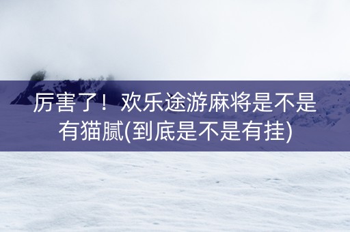 厉害了！欢乐途游麻将是不是有猫腻(到底是不是有挂)
