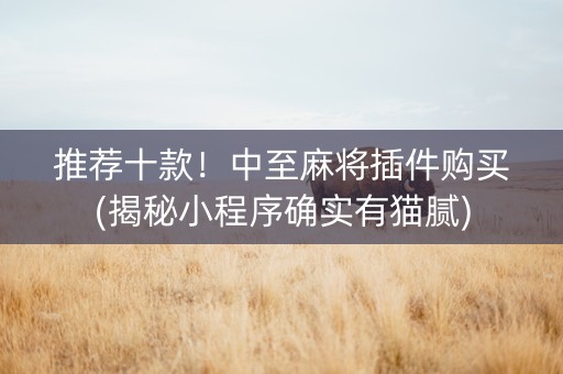推荐十款！中至麻将插件购买(揭秘小程序确实有猫腻)