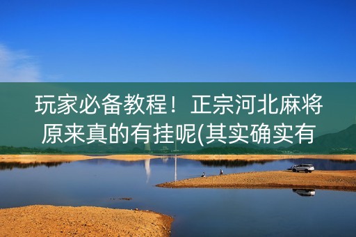 玩家必备教程！正宗河北麻将原来真的有挂呢(其实确实有挂)