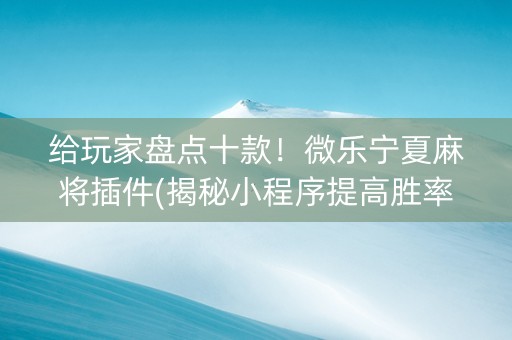 给玩家盘点十款！微乐宁夏麻将插件(揭秘小程序提高胜率)