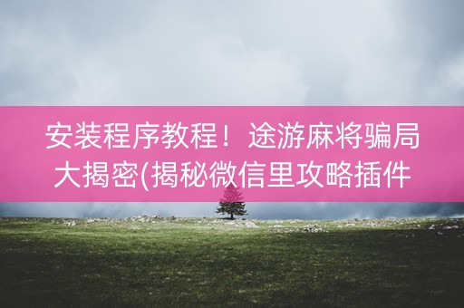 安装程序教程！途游麻将骗局大揭密(揭秘微信里攻略插件)