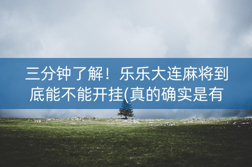 三分钟了解！乐乐大连麻将到底能不能开挂(真的确实是有挂)