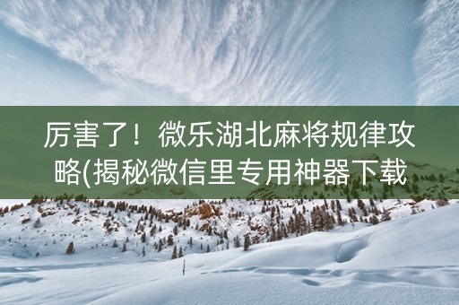 厉害了！微乐湖北麻将规律攻略(揭秘微信里专用神器下载)