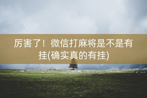 厉害了！微信打麻将是不是有挂(确实真的有挂)