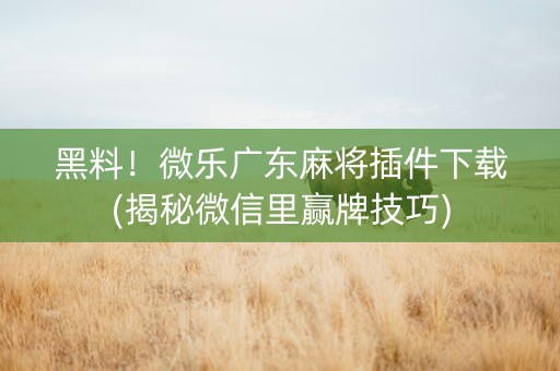 黑料！微乐广东麻将插件下载(揭秘微信里赢牌技巧)