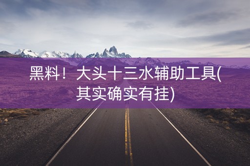 黑料！大头十三水辅助工具(其实确实有挂)