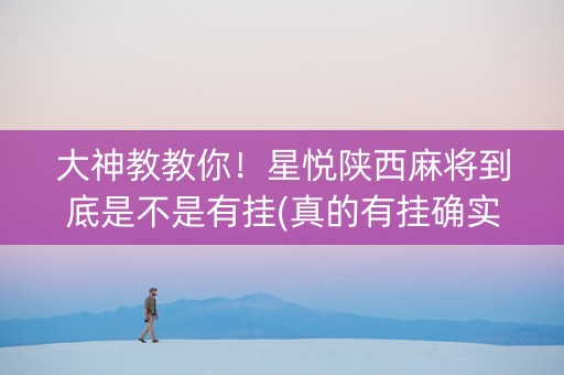 大神教教你！星悦陕西麻将到底是不是有挂(真的有挂确实有挂)