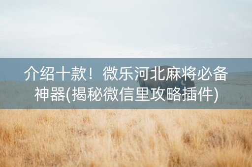 介绍十款！微乐河北麻将必备神器(揭秘微信里攻略插件)