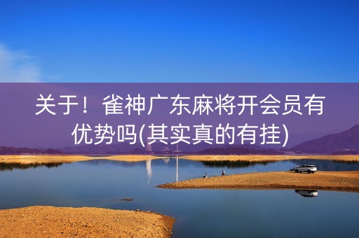 关于！雀神广东麻将开会员有优势吗(其实真的有挂)